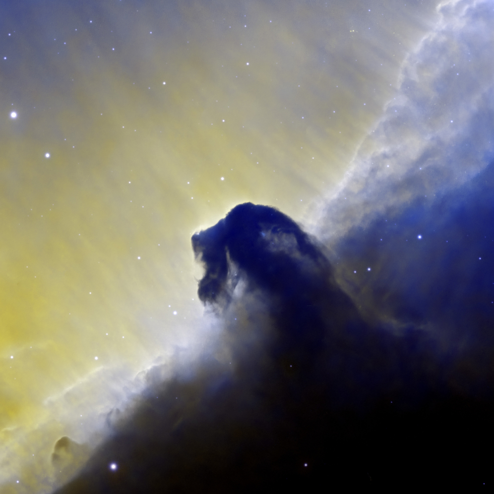 Lion roaring from the clouds (Horsehead Nebula)