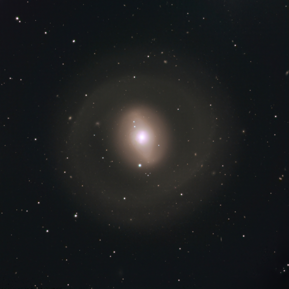 NGC1291