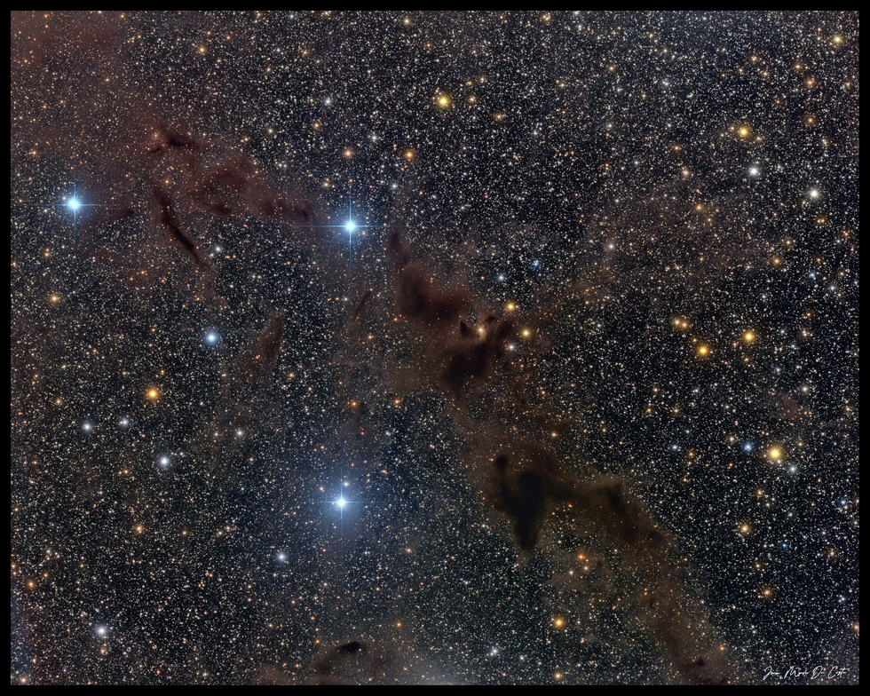 Barnard 228 - The Dark Wolf Nebula