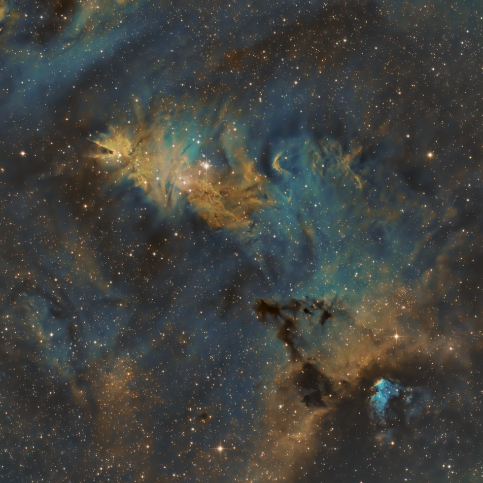 NGC 2264 the Christmas Tree cluster