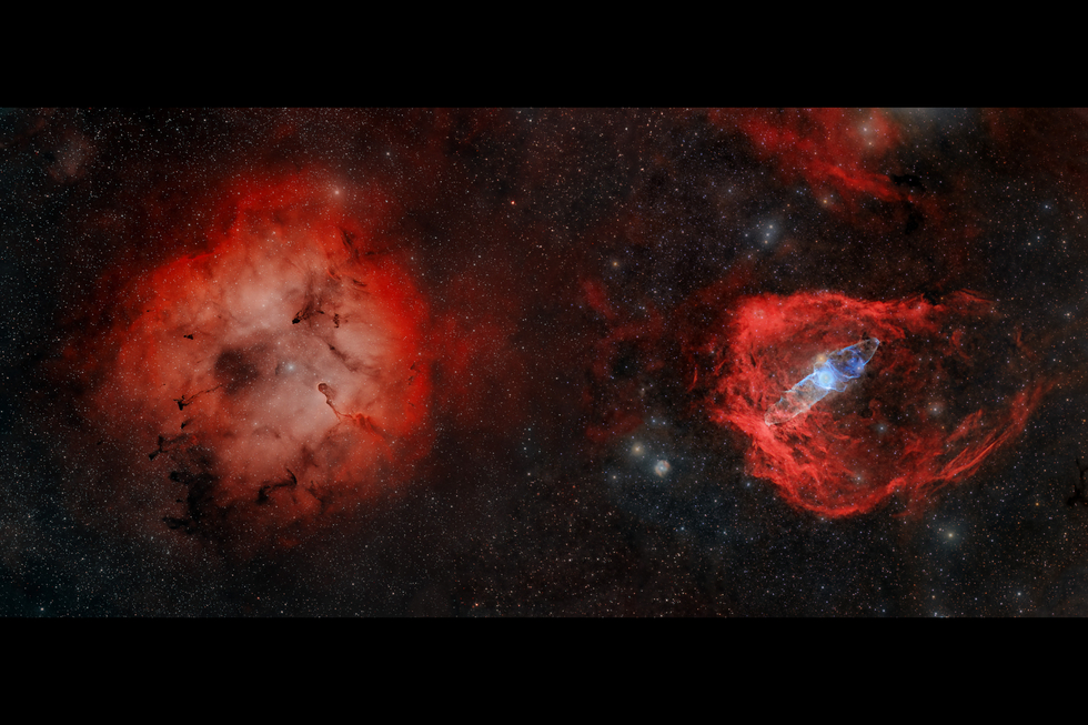 Elephant's Trunk Nebula, Flying Bat Nebula and Squid Nebula