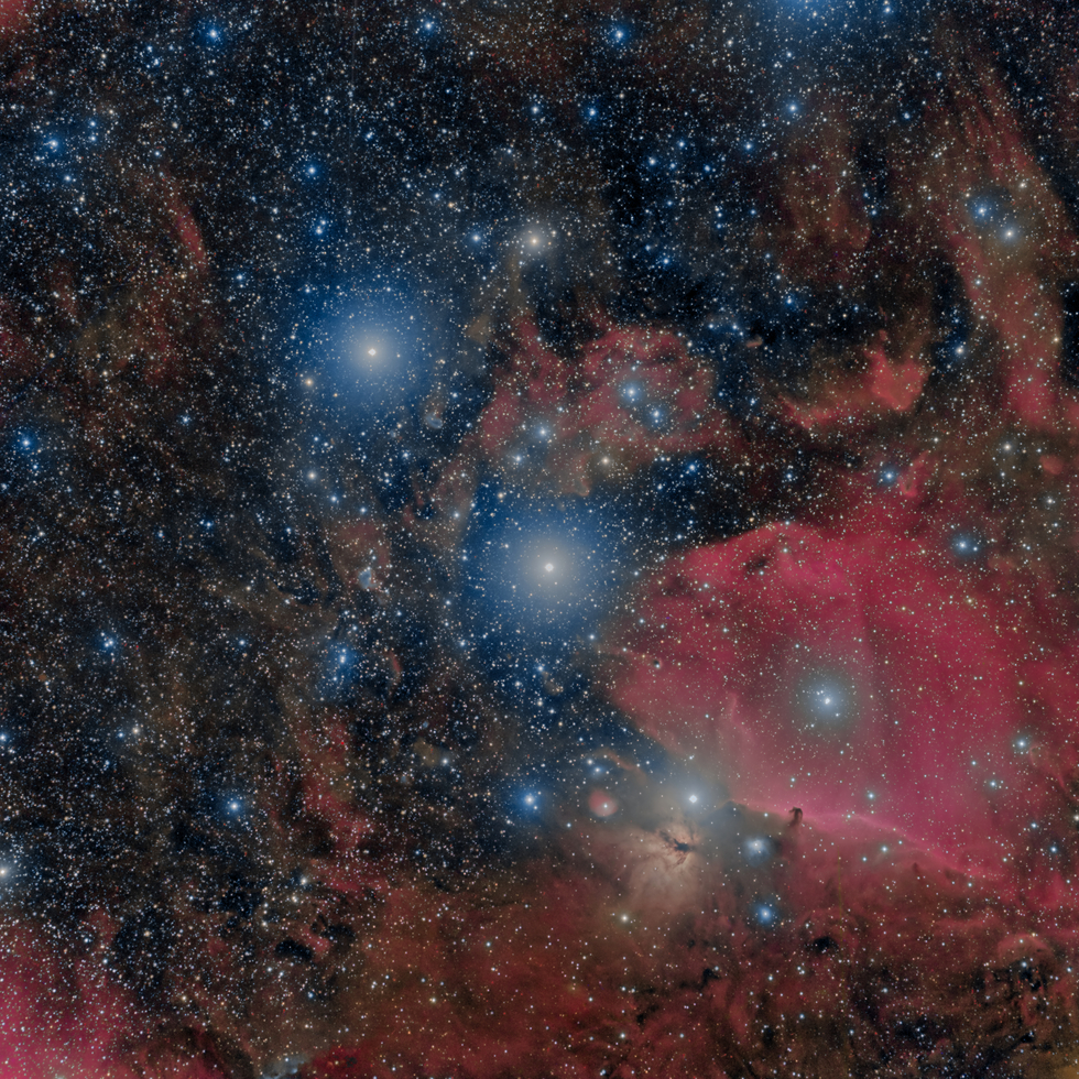 Horsehead Widefield