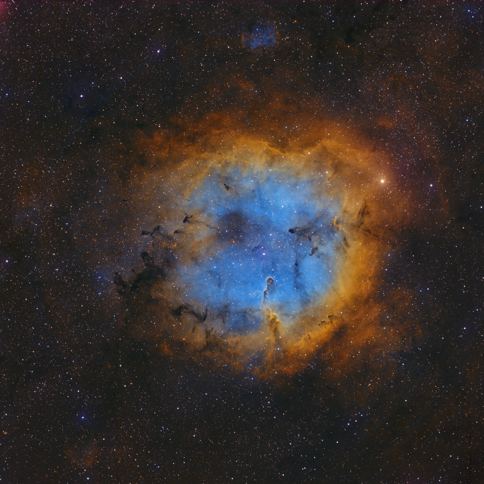 The Elephant's Trunk Nebula