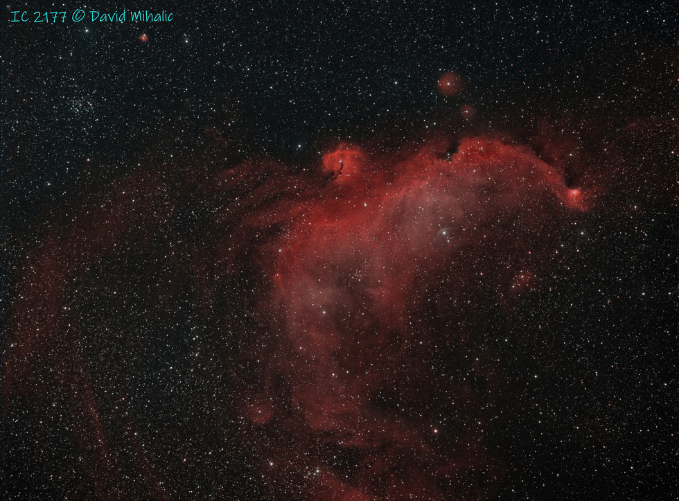 IC 2177 (Seagull) in HOO