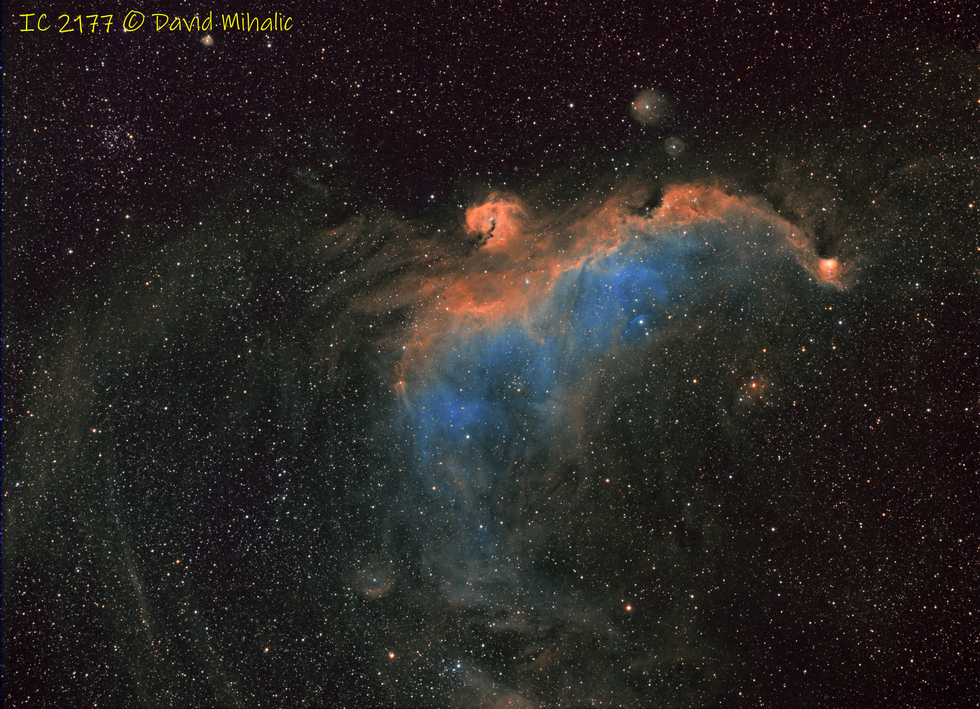 Seagull Nebula in SHO
