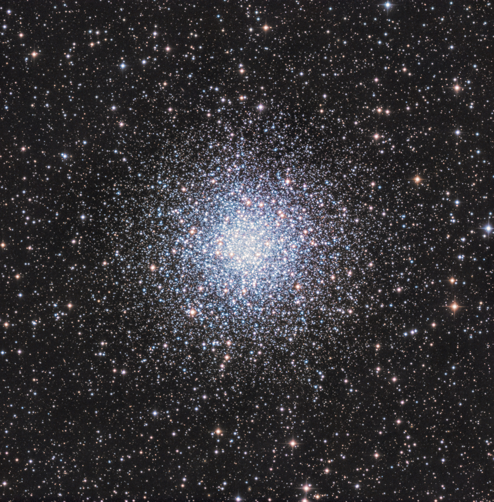 M55