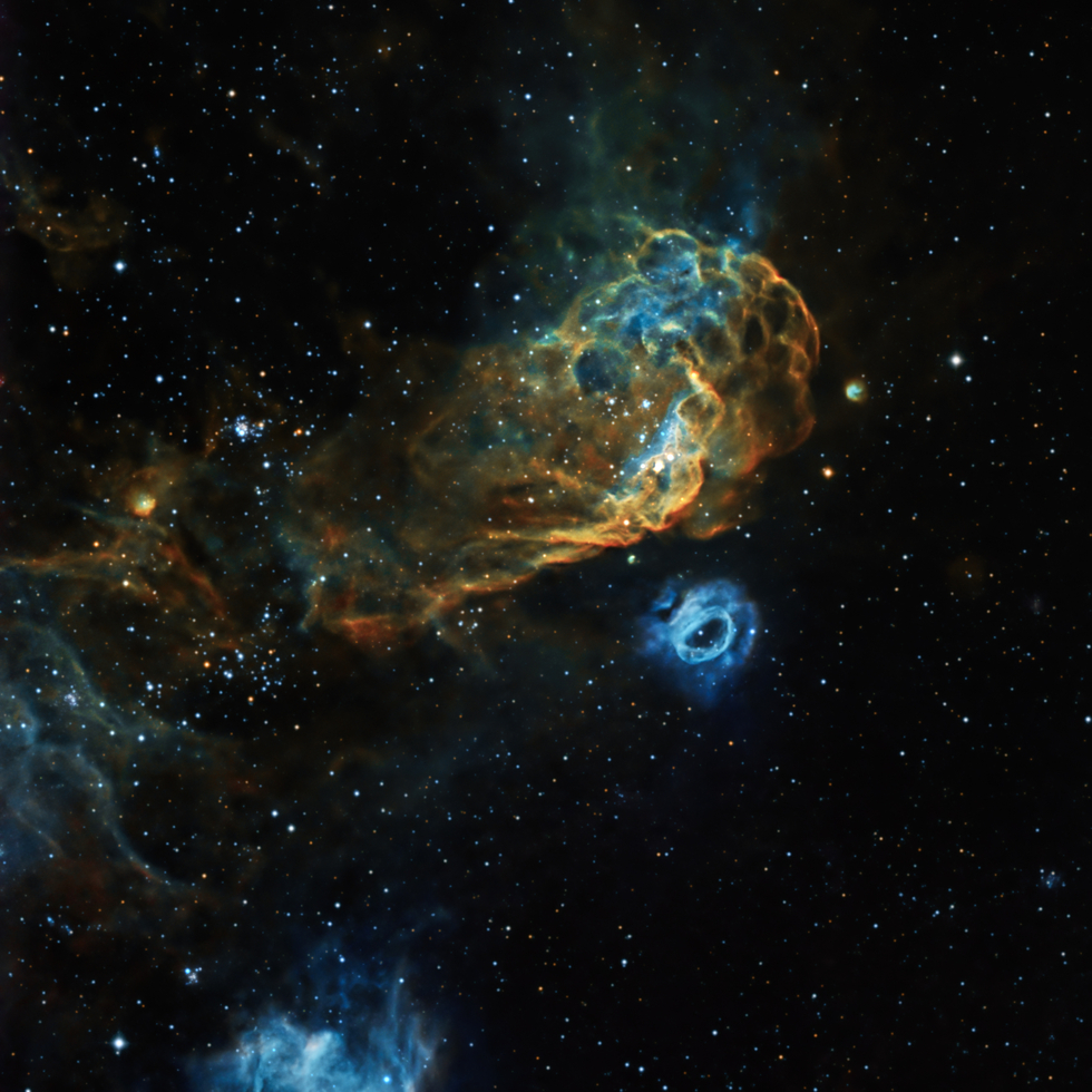 Cosmic Reef NGC 2014 and NGC 2020