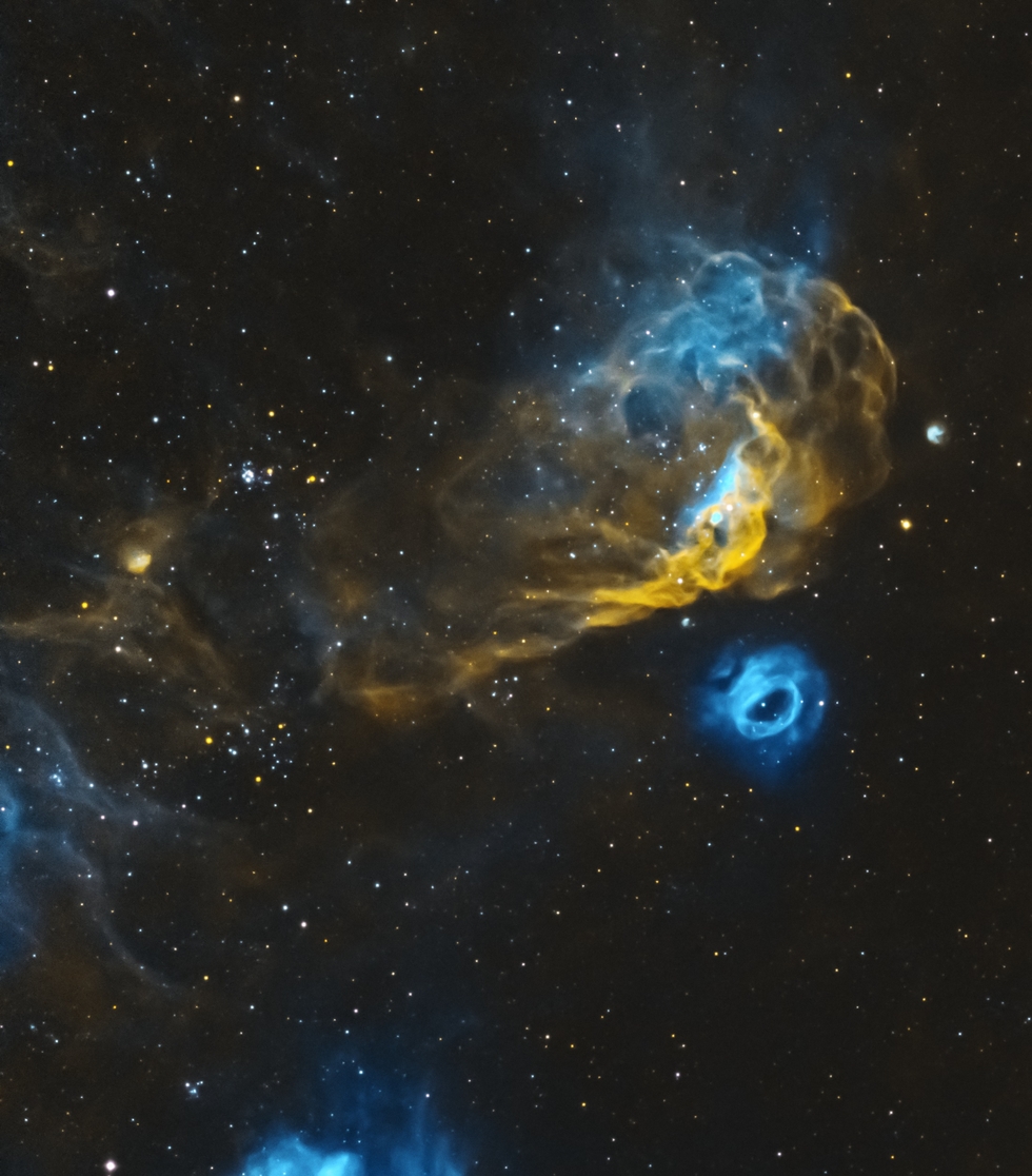NGC 2014 & NGC 2020