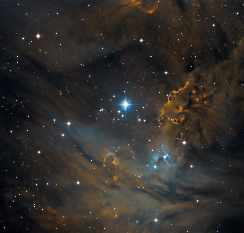 NGC 2264 ... The "Fox Fur Nebula"