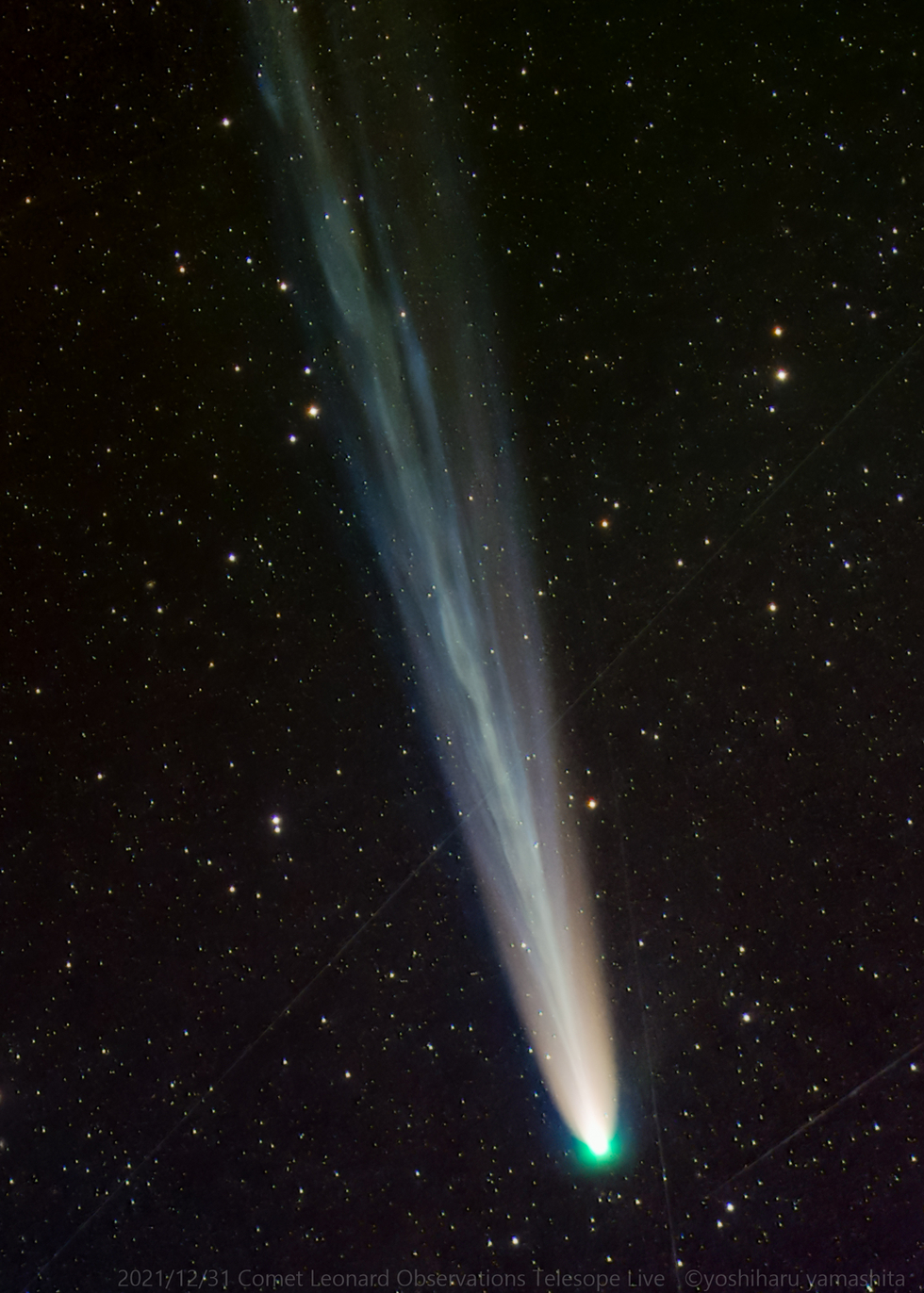 Comet LEONARD