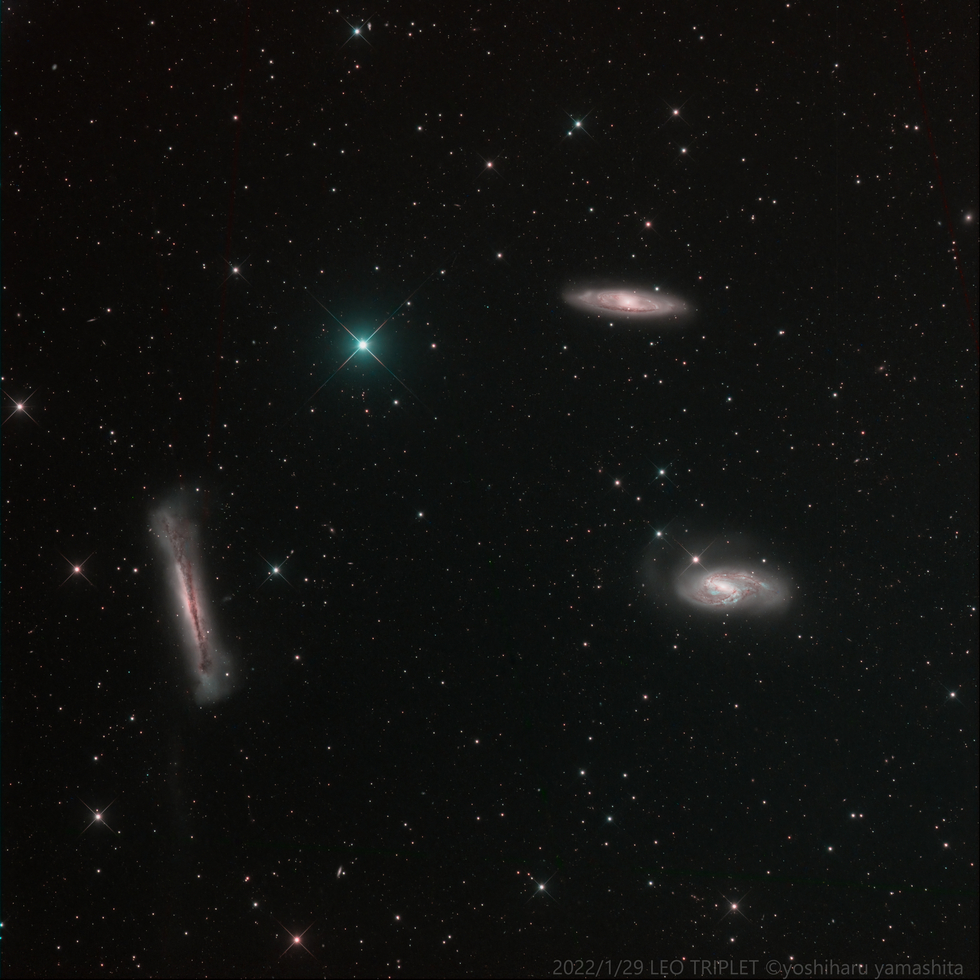 LEO TRIPLET