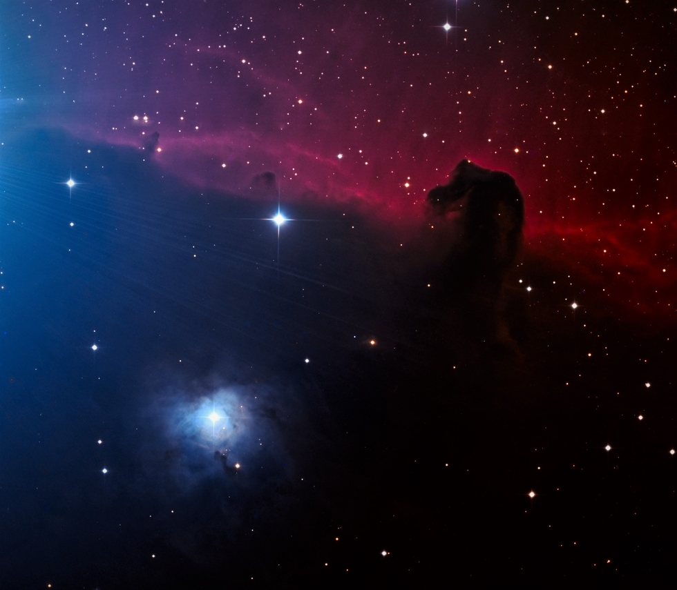 The horse head nebula 