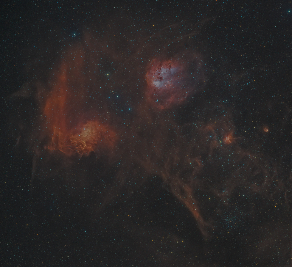 The Flaming Star and Tadpole Nebula
