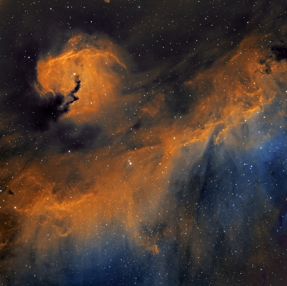 IC2177 Seagull Nebula