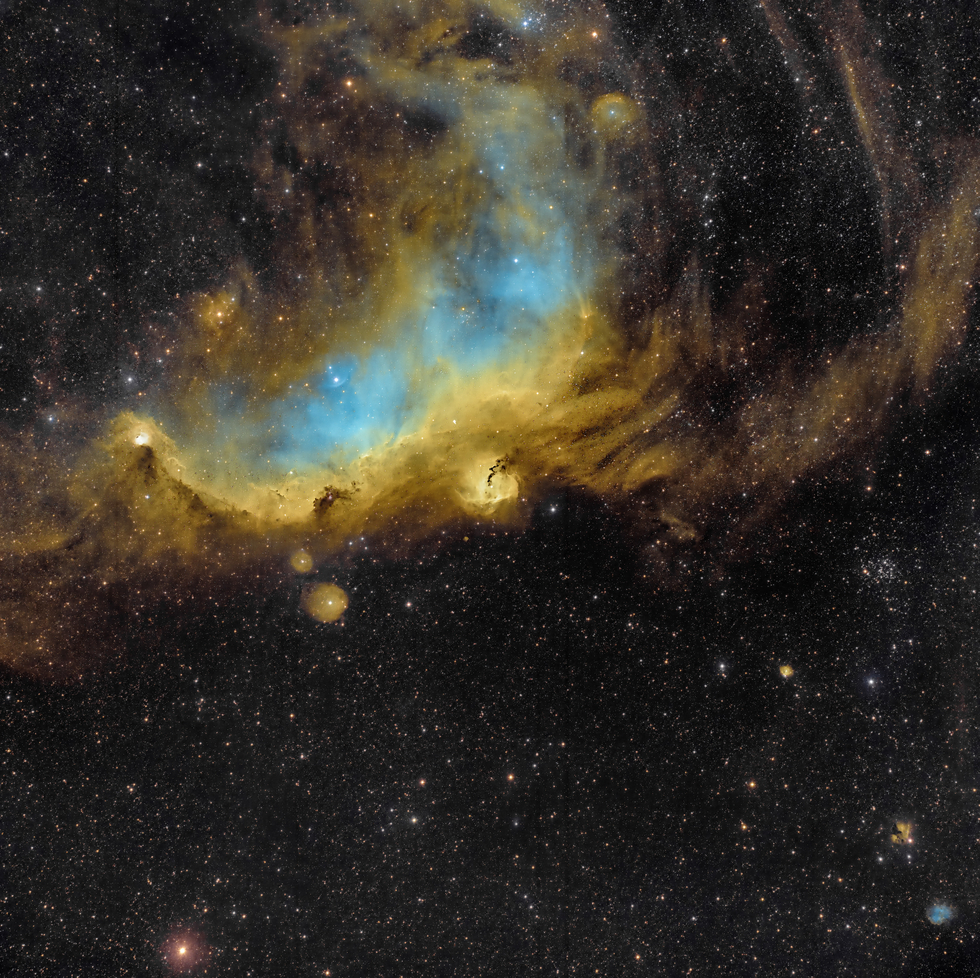 Widefield image Seagull Nebula