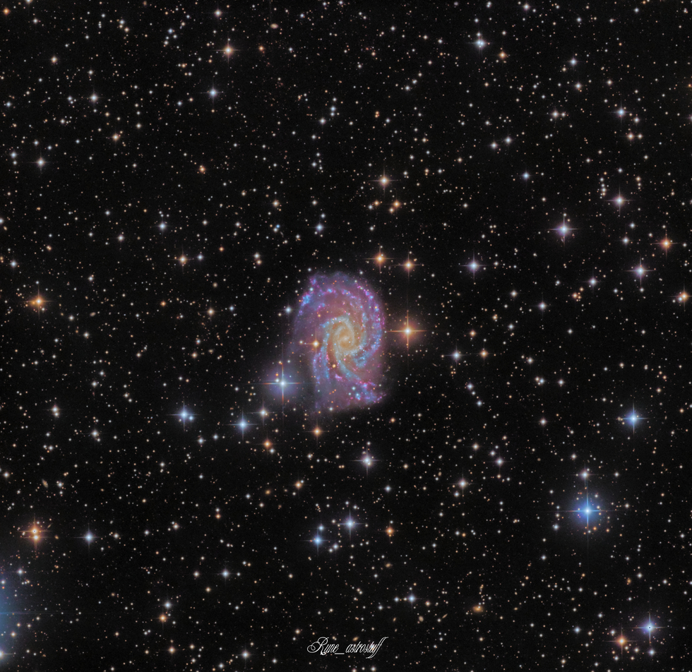  NGC 2835