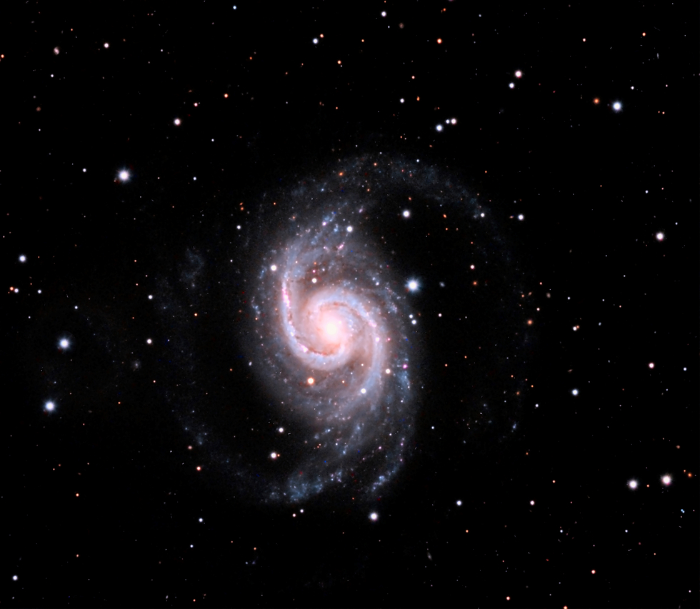 NGC-1566