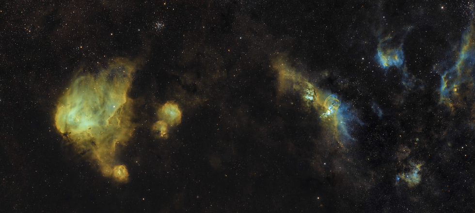 From Running Chicken to Statue of Liberty Nebula: a widefield mosaic image