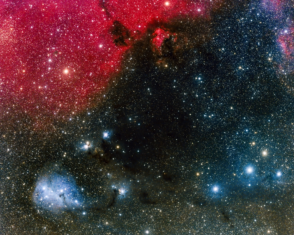 NGC 2247 Area