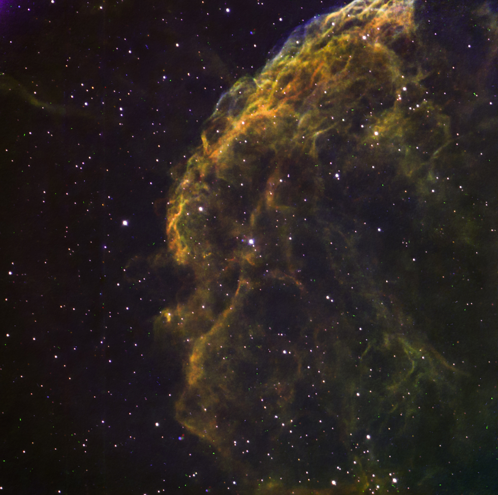 JELLYFISH NEBULA