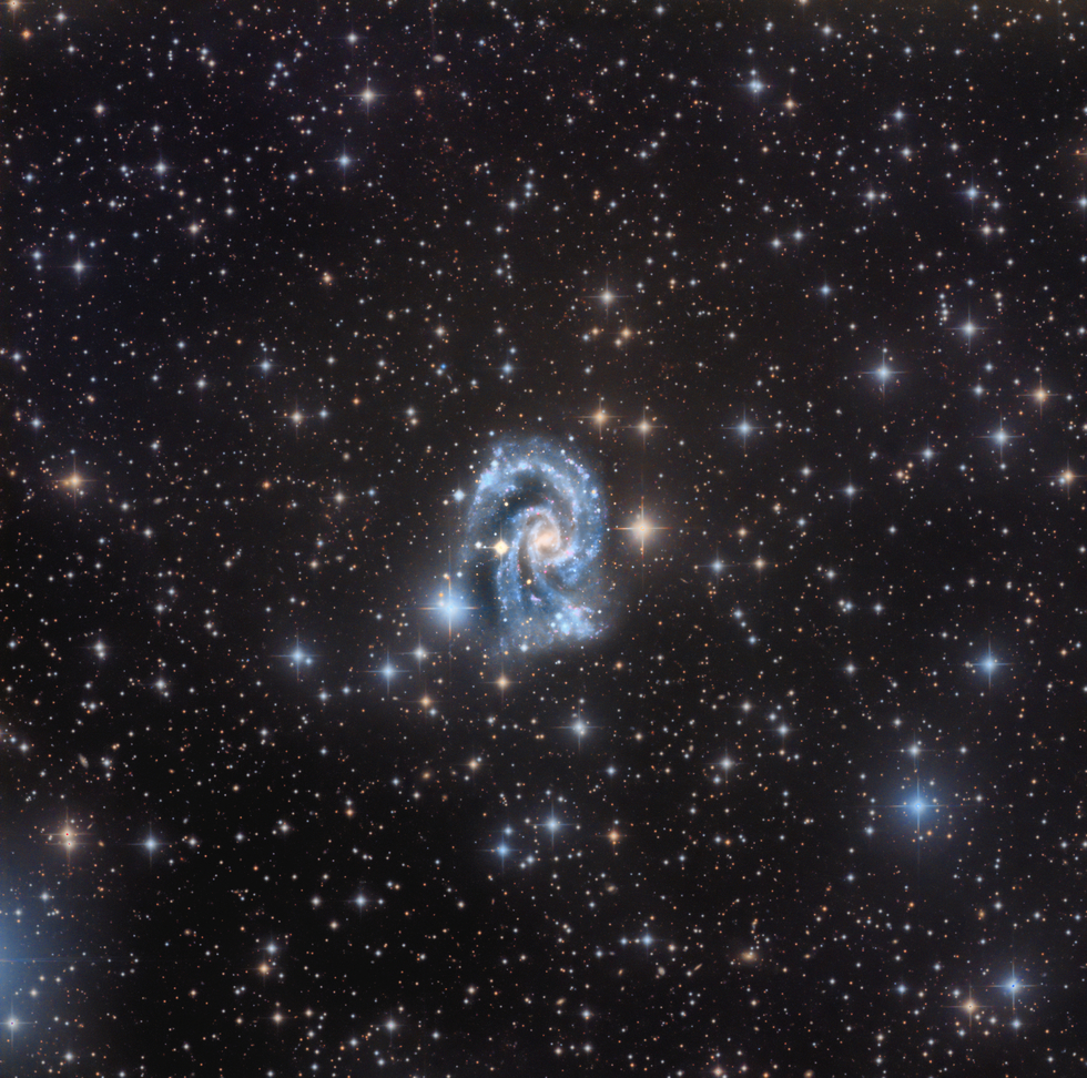 NGC 2835