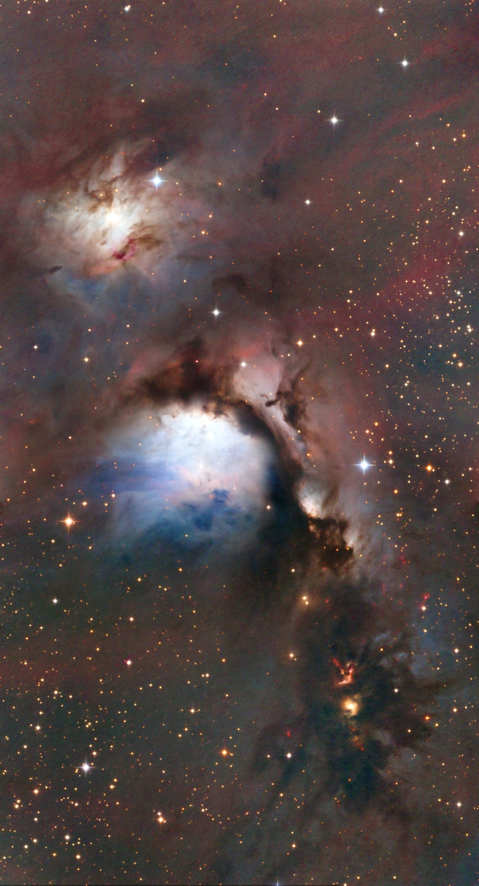 M 78 Mosaïque dans Orion 