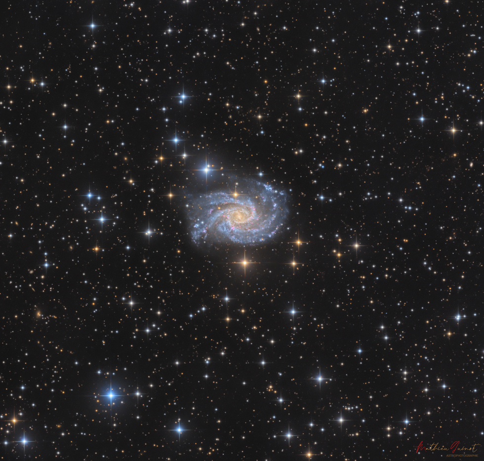 NGC 2835 CHI-1 13h Bundle