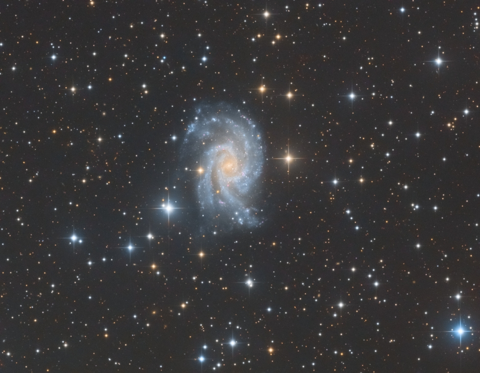 NGC 2835