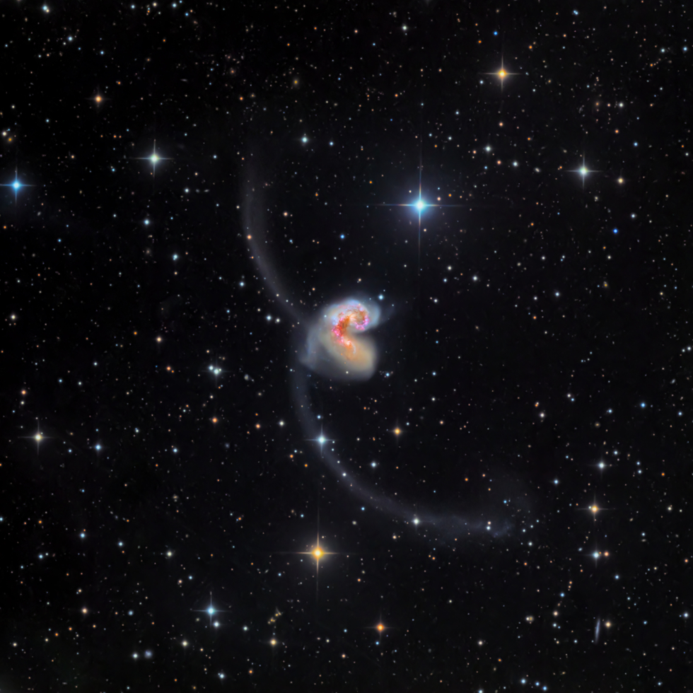 NGC 4038 & NGC 4039 The Antennae Galaxies | Telescope Live