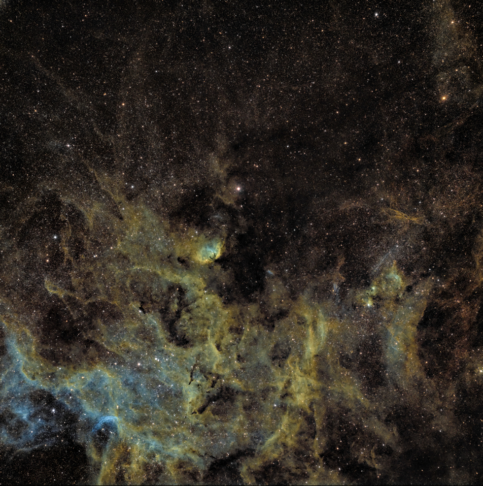 光導 星座 Tulip Nebula and Cygnus X-1 | Telescope Live