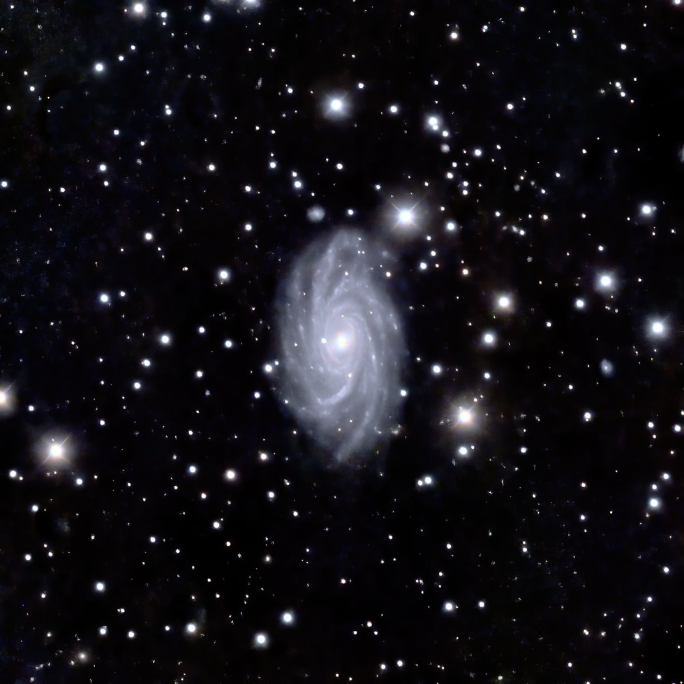 NGC2336