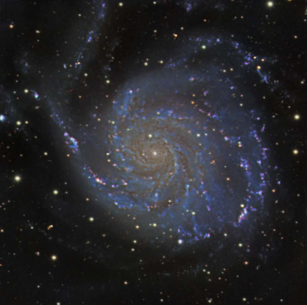 M101 