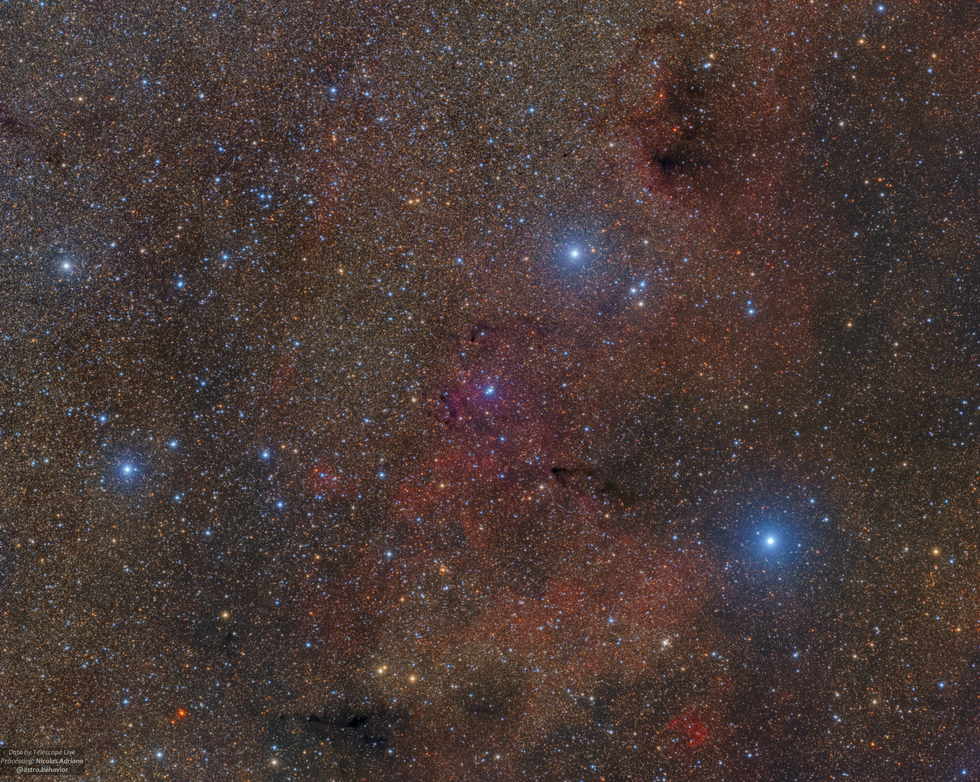 MRSL255 - Nebulous Starfield in Circinus 