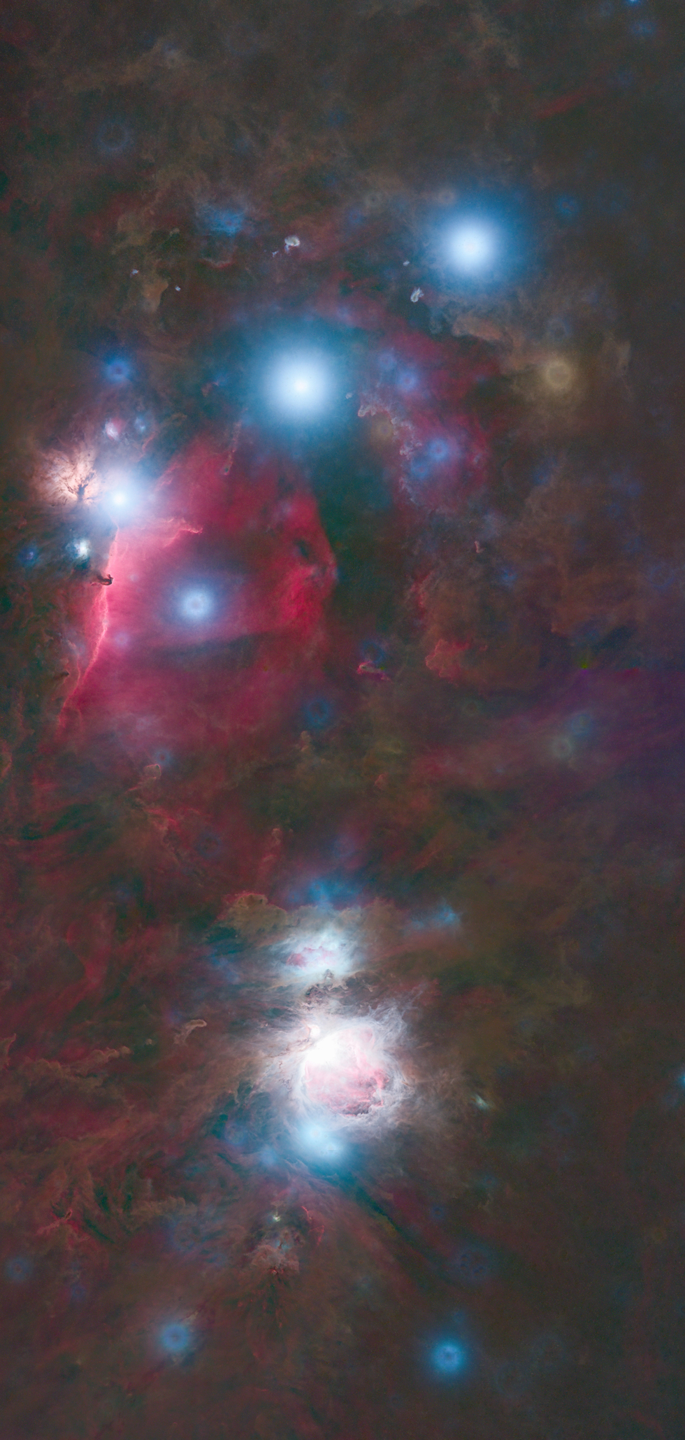 Orion Nebulae