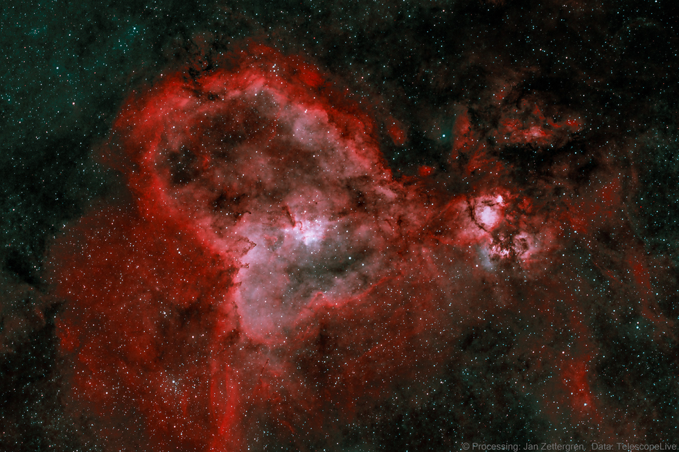 星羅 cyg-01-ho.jpg