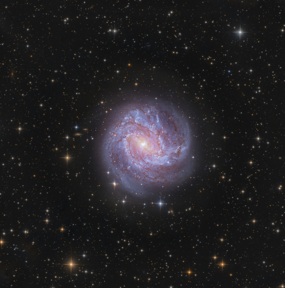 Southern Pinwheel Galaxy