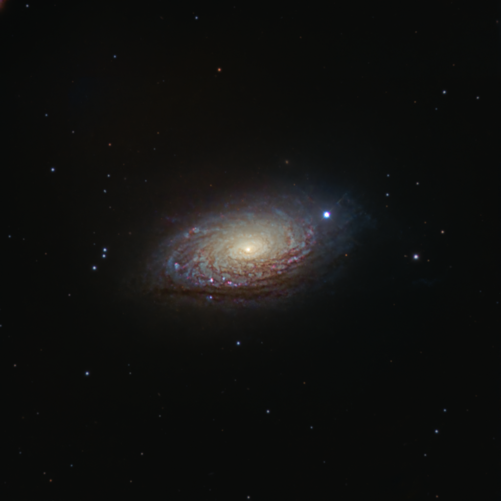 The Sunflower Galaxy - M63