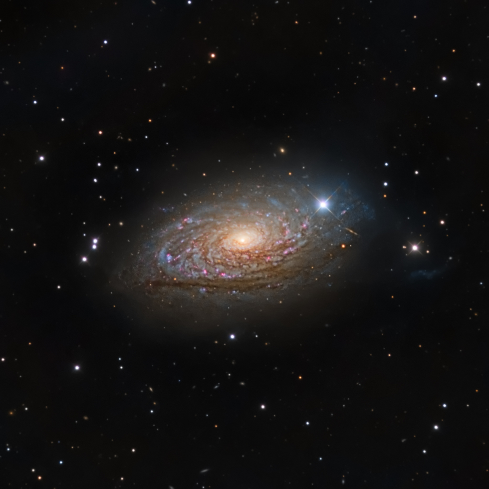 The Sunflower Galaxy (M63)