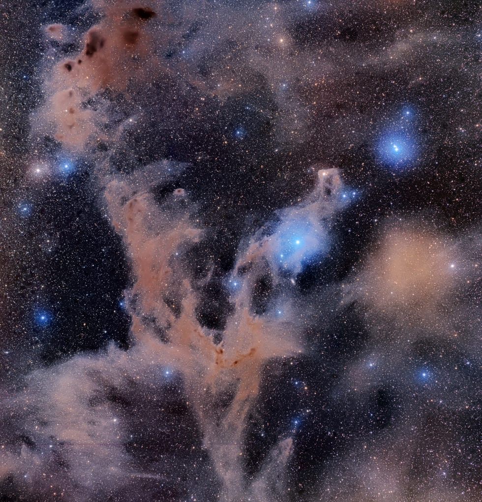 Chamaeleon Dark Nebula  