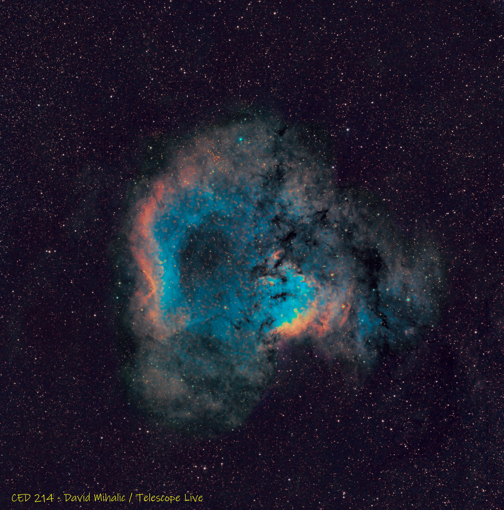 CED 214 - Emission Nebula in Cepheus