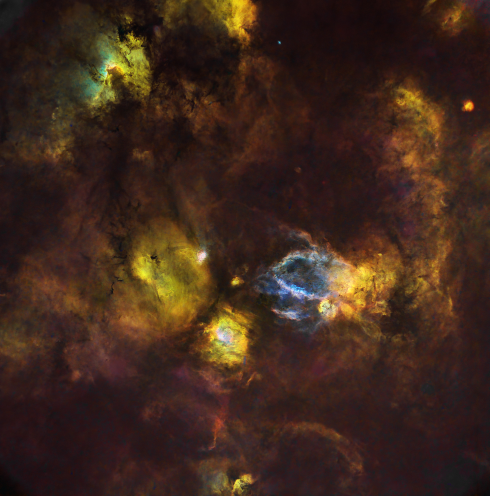 Cepheus Widefield