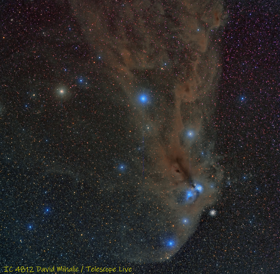 IC 4812 in Corona Australis