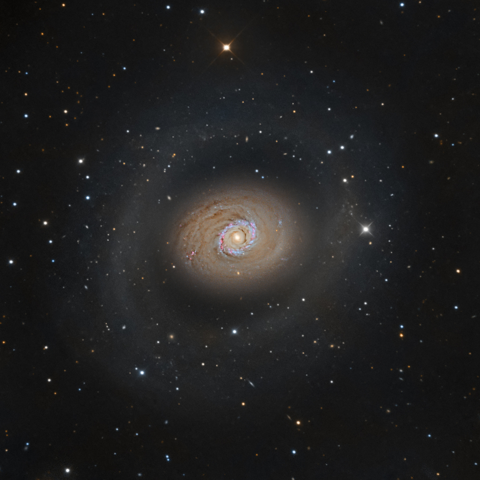 M94 Telescope Live
