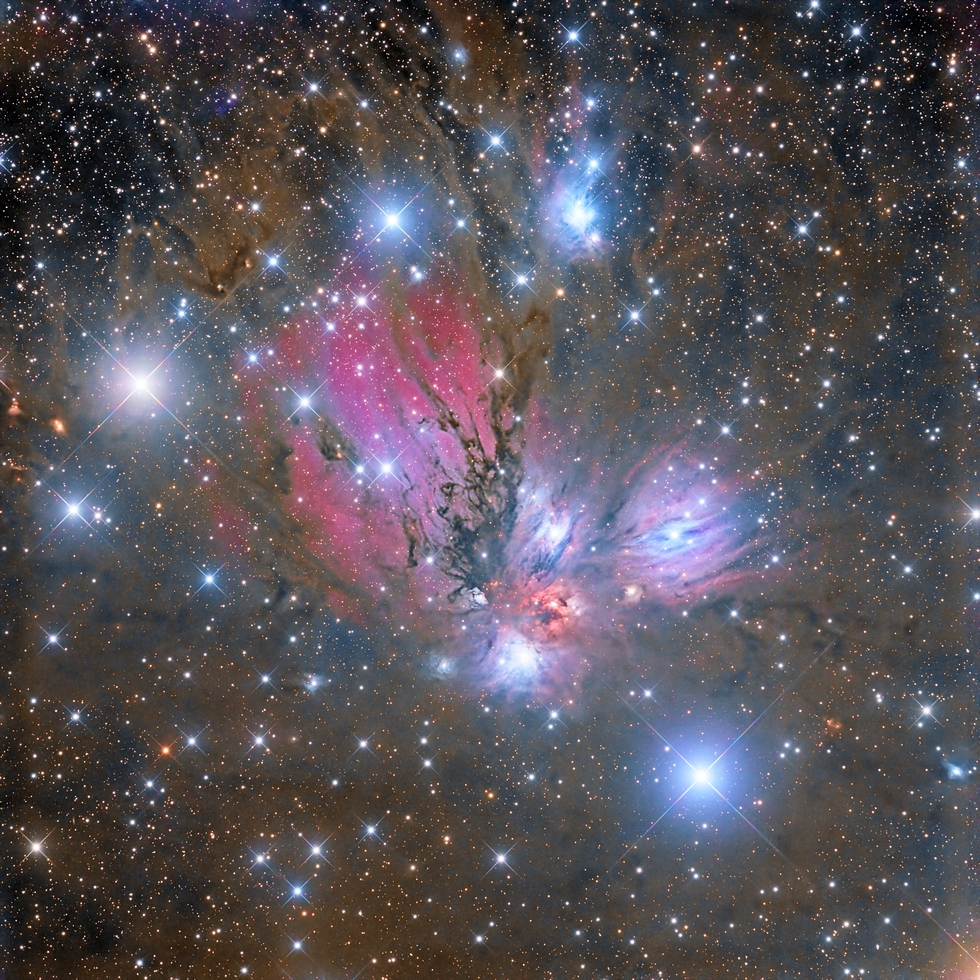 NGC 2170 a.k.a Angel Nebula
