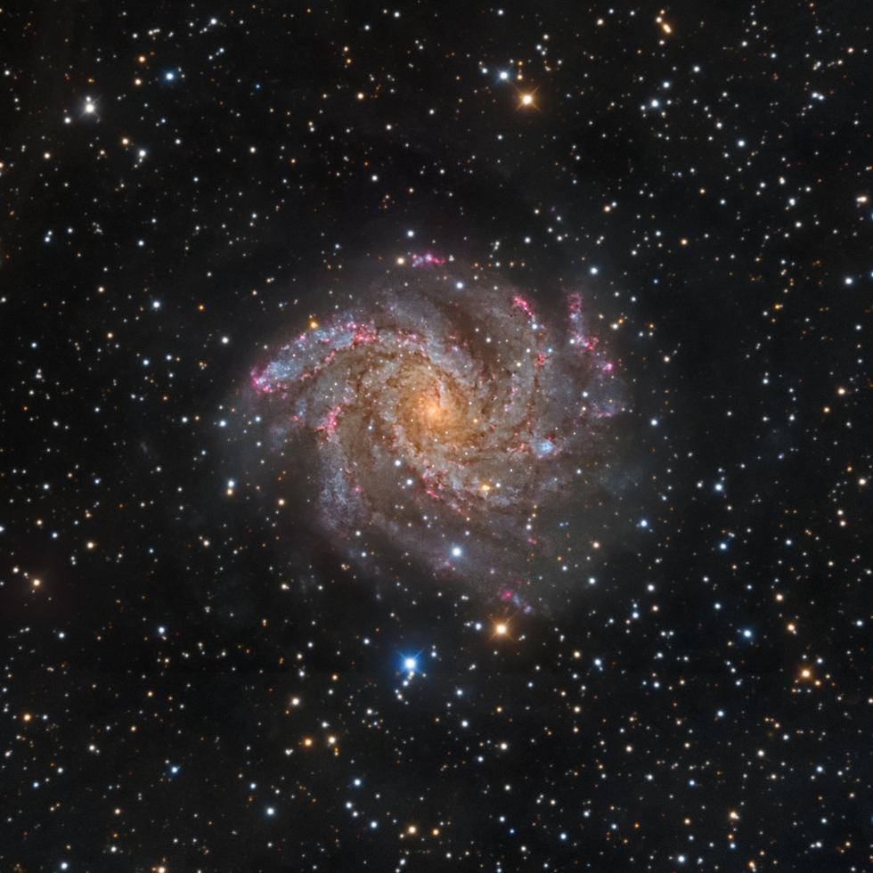 NGC 6946 - The Fireworks Galaxy