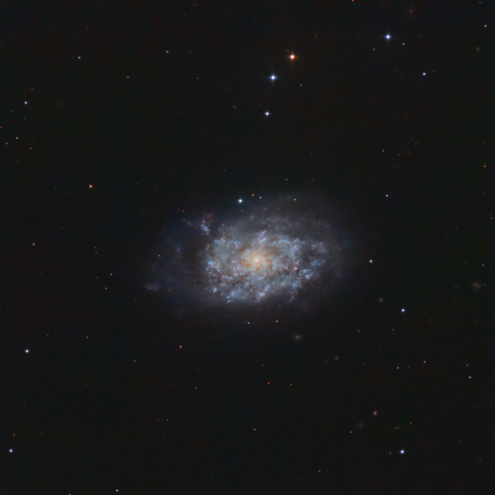 NGC 7793