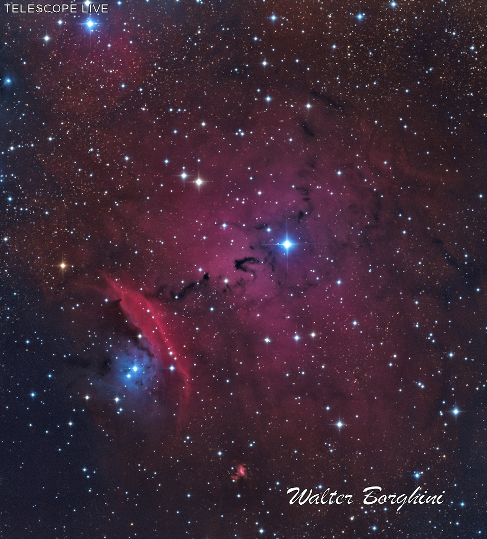 Chinese Dragon Nebula - NGC6559