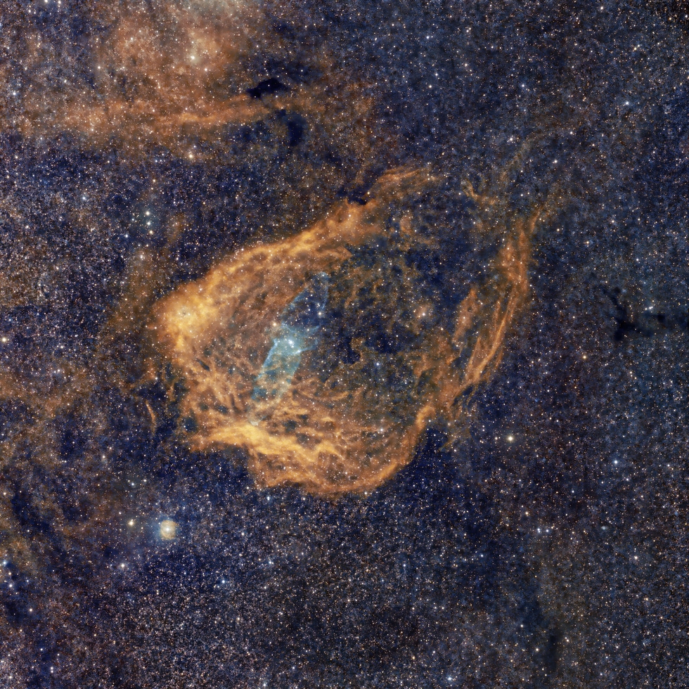 Sh2-129 Flying Bat and Ou4 Squid Nebulae