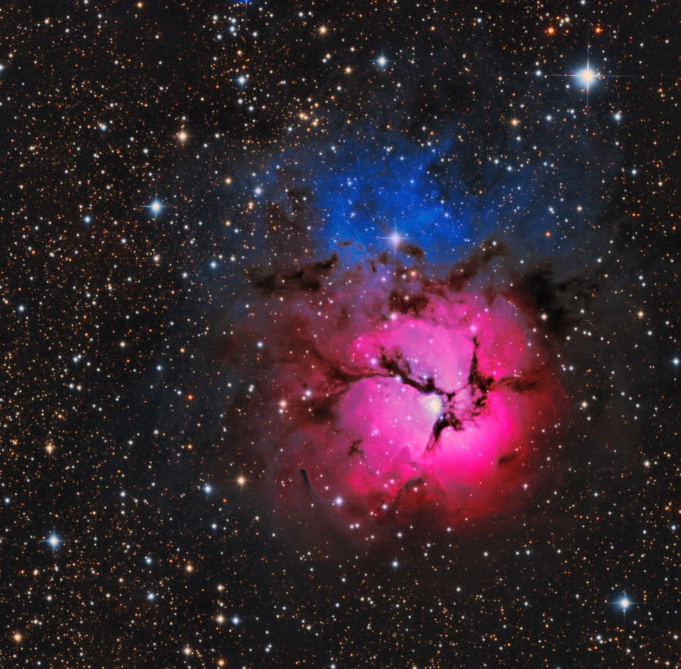 Night of the  Trifid 