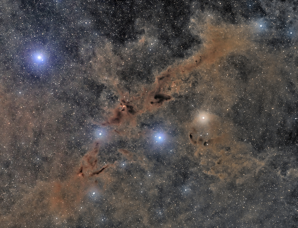B228 a.k.a The Dark Wolf Nebula